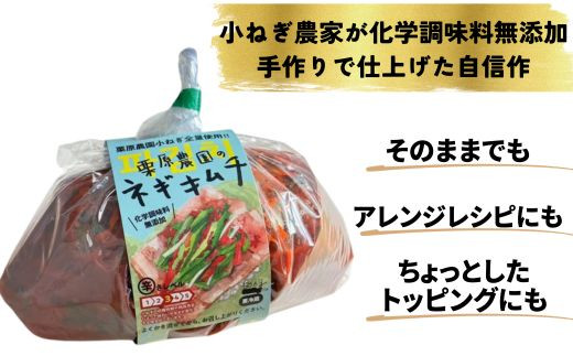 小ネギ農家の本格ネギキムチ (徳用５００ｇ × １袋）　手作り化学調味料無添加【キムチ ネギキムチ キムチ鍋 ネギ農家 豆腐 サムギョプサル キムチスープ キムチチャーハン 卵 冷蔵 こくうま 旨辛 うまから チゲ 韓国料理 シャキシャキ】