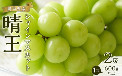 ぶどう 2025年 先行予約 シャイン マスカット 晴王 2房（1房600g以上） ブドウ 葡萄  岡山県産 国産 フルーツ 果物 ギフト