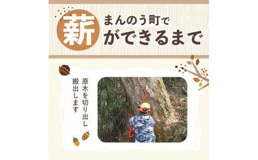 ＜数量・期間限定＞ 香川県まんのう町産 薪セット「広葉樹ミックス」(約20kg×1箱) 【man025】【香川西部森林組合】