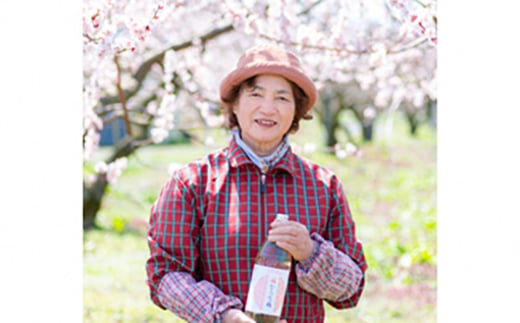 青森県 南部町の梅ジュース 「なんぶの梅」 (1000ml×3本) 【NPO法人 青森なんぶの達者村】 フルーツ王国 梅 ウメ うめ うめジュース ウメジュース 梅ジュース 青森 南部町 三戸 南部 1L 1ℓ 豊後梅 F21U-031