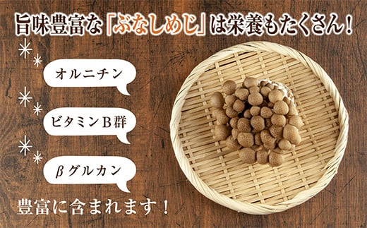 乾燥ぶなしめじ 3袋セット／国産 乾燥 ぶなしめじ 30g×3袋 しめじ シメジ ブナシメジ きのこ 無添加 国産 干ししめじ ドライきのこ だし 出汁 時短 保存食 ダイエット ギフト お取り寄せ はぴふる 新潟県 十日町市