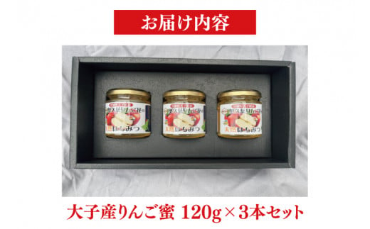 天然はちみつ【大子のりんご蜜 120g×3本セット】 ハニー 大子産 国産 ハチミツ(BG003)