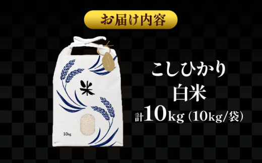 【11月発送】愛知県産コシヒカリ 白米10kg 特別栽培米 ご飯 精米／戸典オペレーター [AECT021-11]