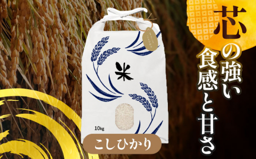 【11月発送】愛知県産コシヒカリ 白米10kg 特別栽培米 ご飯 精米／戸典オペレーター [AECT021-11]