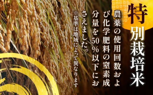 【11月発送】愛知県産コシヒカリ 白米10kg 特別栽培米 ご飯 精米／戸典オペレーター [AECT021-11]