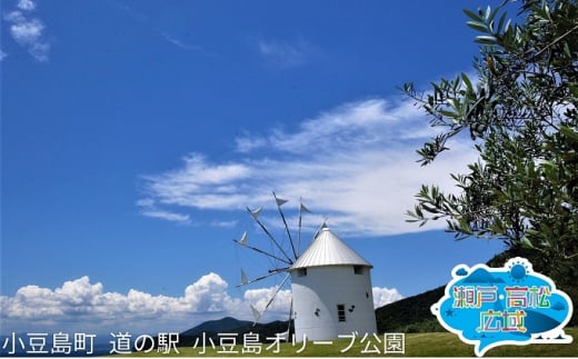 [№5911-0254]「瀬戸・たかまつネットワーク」香川県　アート島めぐり（小豆島・豊島・直島方面）2日間