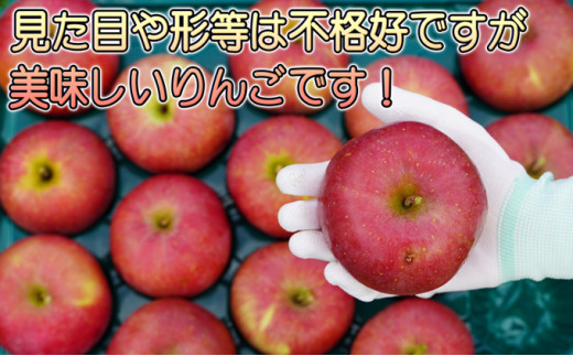 2月 ご家庭用 サンふじ 約10kg【訳あり】【2月・青森りんご・JA津軽みらい(板柳）】