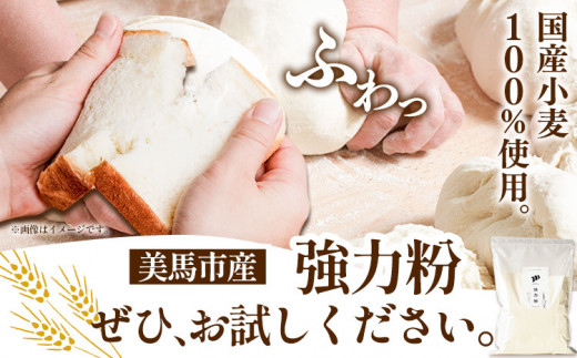 強力粉 1.5kg 美馬市産 自家製小麦のお店mimori《30日以内に発送予定(土日祝除く)》│ 徳島県 美馬市 お菓子 パン 小麦 調味料 送料無料 