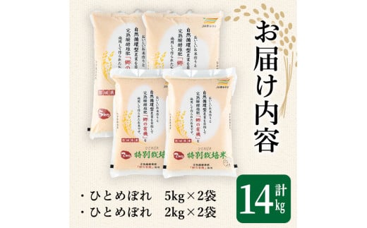 ＜令和5年産＞特別栽培米 ひとめぼれ 合計14kg お米 おこめ 米 コメ 白米 ご飯 ごはん おにぎり お弁当 有機質肥料【JA新みやぎ】ta221