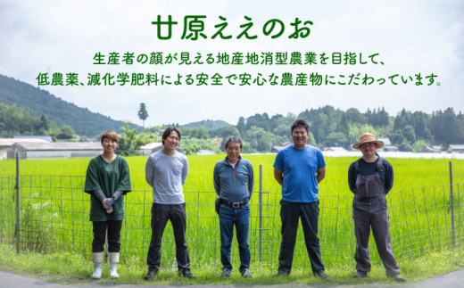 多治見のジャム いちご・ブルーベリー 200g×6個 【有限会社廿原ええのお】 いちご ギフト 小瓶 スイーツ 多治見市/廿原ええのお  [TCI003]