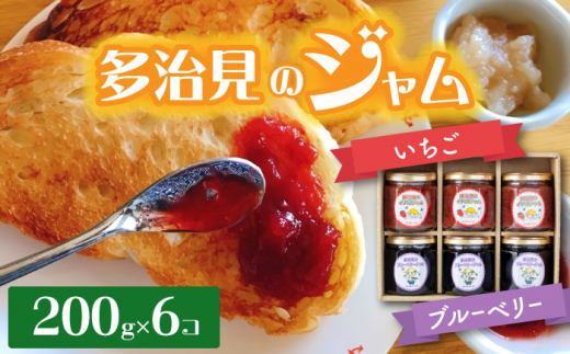 多治見のジャム いちご・ブルーベリー 200g×6個 【有限会社廿原ええのお】 いちご ギフト 小瓶 スイーツ 多治見市/廿原ええのお  [TCI003]