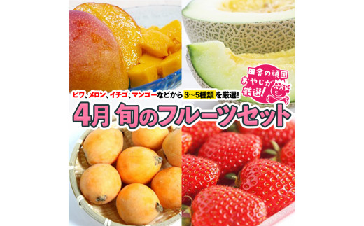 旬のフルーツセット 4月号【令和6年4月より発送開始】田舎の頑固おやじが厳選！