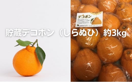 [№5911-0236]貯蔵デコポン（しらぬひ）約3kg