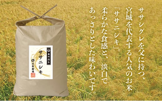 令和6年産 氏家農場のこだわりのお米「ササニシキ」10kg | 精米 白米 ご飯 ブランド米 栽培期間中 化学肥料 農薬 不使用 主食 おにぎり お弁当 炭水化物 香り ツヤ あっさり ※2024年10月中旬頃より順次発送予定