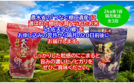 農林水産省の「つなぐ棚田遺産」に選ばれた棚田で育てられた土佐天空の郷 2kg食べくらべセット定期便 隔月お届け 全3回