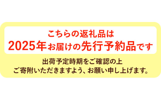 ＜先行予約！2025年6月上旬以降順次発送＞＜Lサイズも選べる＞夏芽！さぬきのめざめ アスパラガス (約1kg) 【man084・man086】【Aglio nero】