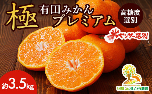 みかん Amazon | 【冷凍】八ちゃん堂 むかん 冷凍みかん 2個 入X9箱 | 6