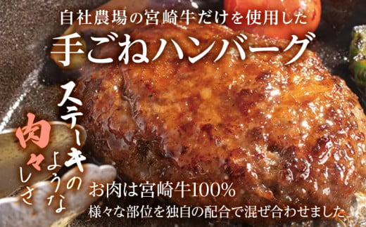 九州産黒毛和牛100％ 手ごねハンバーグ 6個セット 自家製ハンバーグソース付き 惣菜 晩御飯 晩ご飯 晩飯 夕飯 夜ご飯 夜食 洋風 和風 つまみ オリジナル たれ 壱岐ファーム 自社農場 ビーフ 宮崎牛