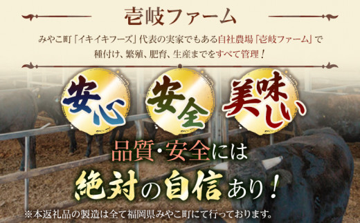 九州産黒毛和牛100％ 手ごねハンバーグ 6個セット 自家製ハンバーグソース付き 惣菜 晩御飯 晩ご飯 晩飯 夕飯 夜ご飯 夜食 洋風 和風 つまみ オリジナル たれ 壱岐ファーム 自社農場 ビーフ 宮崎牛