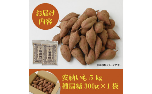 種子島産安納いもと種扇糖のセット　「安納芋(5kg)」「種扇糖(300g×1袋)」【焼き芋 焼芋 やきいも さつまいも さつま芋 さとうきび 砂糖 シュガー 熟成 蜜 しっとり 甘い 安納いも 国産 鹿児島県産 中種子町 送料無料 BA15】