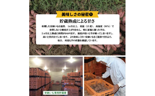 種子島産安納いもと種扇糖のセット　「安納芋(5kg)」「種扇糖(300g×1袋)」【焼き芋 焼芋 やきいも さつまいも さつま芋 さとうきび 砂糖 シュガー 熟成 蜜 しっとり 甘い 安納いも 国産 鹿児島県産 中種子町 送料無料 BA15】