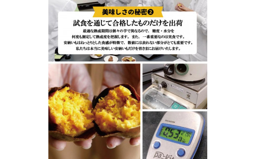 種子島産安納いもと種扇糖のセット　「安納芋(5kg)」「種扇糖(300g×1袋)」【焼き芋 焼芋 やきいも さつまいも さつま芋 さとうきび 砂糖 シュガー 熟成 蜜 しっとり 甘い 安納いも 国産 鹿児島県産 中種子町 送料無料 BA15】