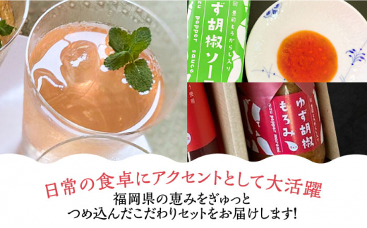 ＜いちご美人＞ 飲む酢 & ゆず胡椒 ソース / もろみ セット 《豊前市》【株式会社ワカヤマ】地産 福岡 万能 調味料 酢 [VBW006]