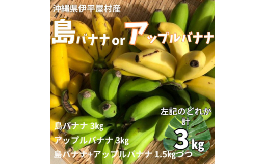 ＜2025年7月発送＞もっちり甘い 島バナナ アップルバナナ 3kg 伊平屋村産【1551876】