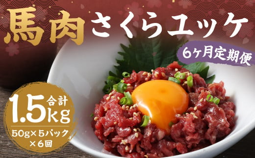 【6ヶ月定期便】 馬肉 さくら ユッケ 約250g（50g×5パック） 計約1.5kg