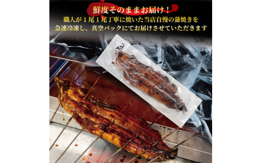 国産 うなぎ 定期便 蒲焼 約150g×2尾 タレ付 3ヵ月定期便 ( 冷凍 うなぎ3回 定期便 丑の日 ギフト 国産 滋賀県 竜王町 ふるさと納税 ) 