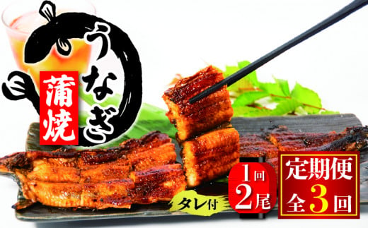 国産 うなぎ 定期便 蒲焼 約150g×2尾 タレ付 3ヵ月定期便 ( 冷凍 うなぎ3回 定期便 丑の日 ギフト 国産 滋賀県 竜王町 ふるさと納税 ) 