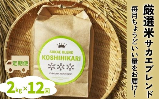 ついに出ました厳選米サカエブレンド定期便 限定発売！毎月ちょうどいい量をお届けます!2kg毎月お届け(12回)（令和6年産）