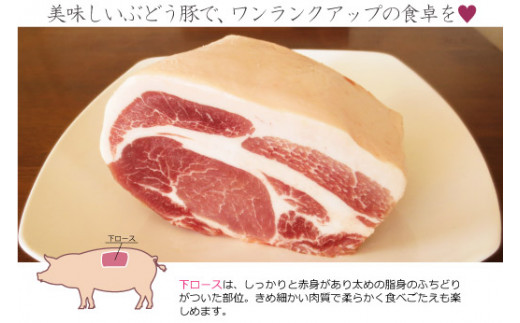 綾ぶどう豚下ロースブロック1kg（36-176）