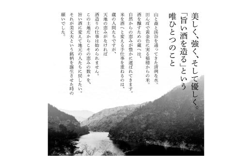 【四国一小さなまちの地酒】＜12ヶ月定期便＞★ふるさと納税限定★ 美丈夫『田野ラベル』一升瓶２本セット 1800ml 一升 一升瓶 酒 お酒 地酒 純米吟醸 純米酒 日本酒 セット 15度 美丈夫 限定 高知 田野町