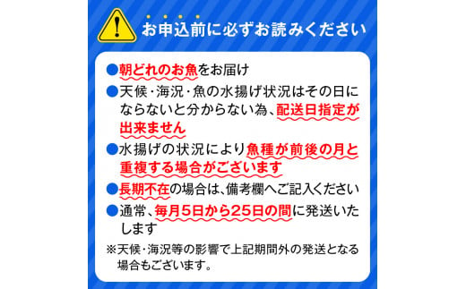 【12ヶ月定期便】大和のこだわり漁師のお刺身4人前 N072-YG0143_1