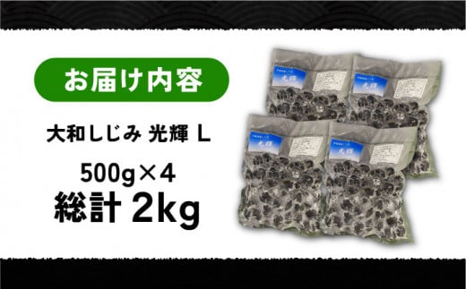 産地直送！ 宍道湖産 冷凍大和しじみLサイズ2kg(500g×4) 砂抜き処理済島根県松江市/りすたむMatsue [ALDE002]