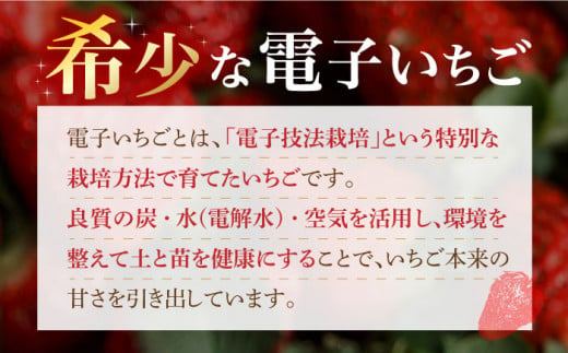 【先行予約】＜1～2月お届け＞大粒！甘～い！！長崎ストロベリー「まぼろしの電子いちご」 化粧箱入り2箱(24玉) 長崎県産 さちのか ゆめのか 長崎県/長崎果匠 [42AABK007]