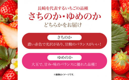 【先行予約】＜1～2月お届け＞大粒！甘～い！！長崎ストロベリー「まぼろしの電子いちご」 化粧箱入り2箱(24玉) 長崎県産 さちのか ゆめのか 長崎県/長崎果匠 [42AABK007]