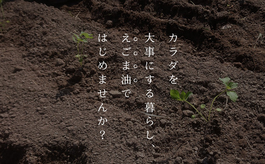 【EL02】鳥取県南部町産えごま油　なんぶの雫(95g×2本)