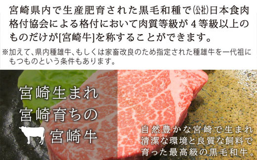 【宮崎牛】 ヒレ ブロック 1kg [SHINGAKI 宮崎県 美郷町 31ag0053] 赤身 フィレ ヘレ ステーキ 焼肉 宮崎県産 希少 冷凍 送料無料 国産 黒毛 和牛 A5 A4等級 ブランド 牛 肉 霜降り BBQ バーベキュー キャンプ