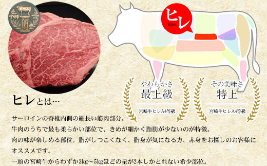 【宮崎牛】 ヒレ ブロック 1kg [SHINGAKI 宮崎県 美郷町 31ag0053] 赤身 フィレ ヘレ ステーキ 焼肉 宮崎県産 希少 冷凍 送料無料 国産 黒毛 和牛 A5 A4等級 ブランド 牛 肉 霜降り BBQ バーベキュー キャンプ