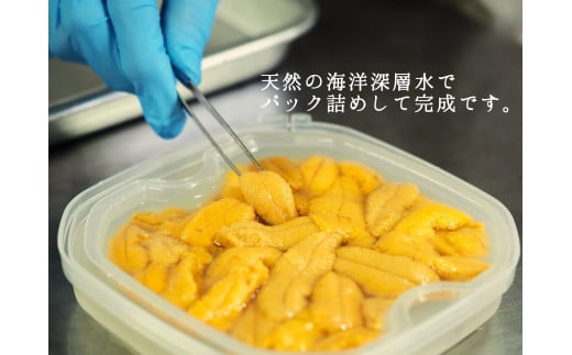 【2025年6月中旬から順次発送】【北海道せたな町産】生鮮生うに(150g×1パック)