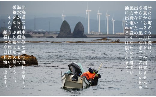 【2025年6月中旬から順次発送】【北海道せたな町産】生鮮生うに(150g×1パック)