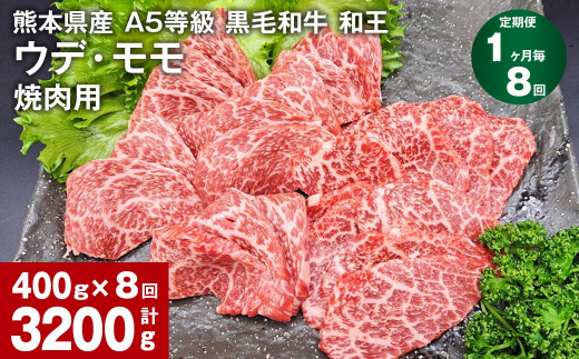 【1ヶ月毎8回定期便】熊本県産 A5等級 黒毛和牛 和王 ウデ・モモ 焼肉用 400g 計3200g