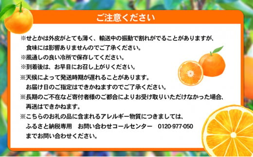 愛媛県産JA正規品 せとか（青秀）3Kg 3L～L（2025年1月～順次発送）【旬 甘い みかん 蜜柑 柑橘 かんきつ 高級 先行予約 愛媛県 農協 JA直送 フルーツ 果物 くだもの スイーツ】[№5310-0024]