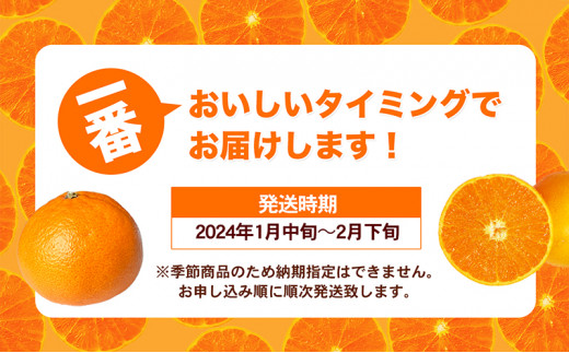 愛媛県産JA正規品 せとか（青秀）3Kg 3L～L（2025年1月～順次発送）【旬 甘い みかん 蜜柑 柑橘 かんきつ 高級 先行予約 愛媛県 農協 JA直送 フルーツ 果物 くだもの スイーツ】[№5310-0024]