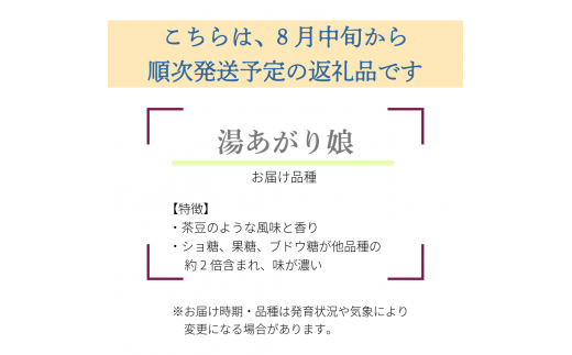 【先行受付】枝豆1kg　秋田県井川町産　８月中旬から順次発送