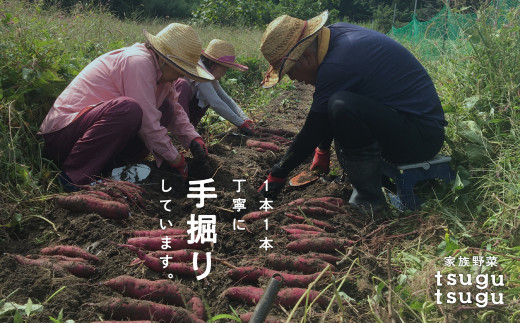 【農薬・化学肥料不使用】ねっとり甘〜い おいもさん（紅はるか） ５kg