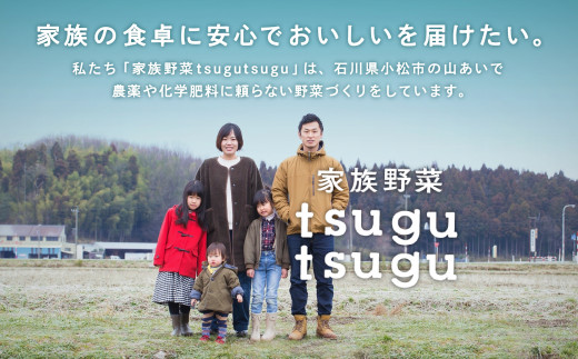 【農薬・化学肥料不使用】ねっとり甘〜い おいもさん（紅はるか） ５kg