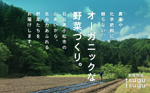 【農薬・化学肥料不使用】ねっとり甘〜い おいもさん（紅はるか） ５kg